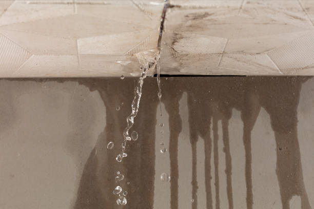 Professional Structural Drying technician working in High Point, NC